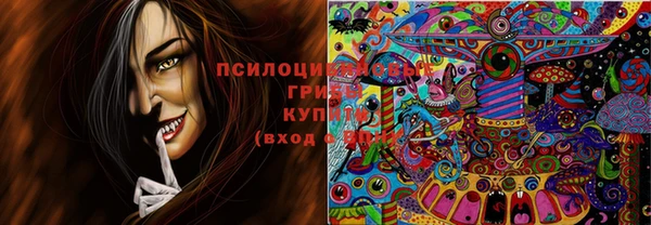 хмурый Новодвинск