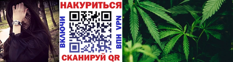 Шишки марихуана гибрид это Telegram Россошь
